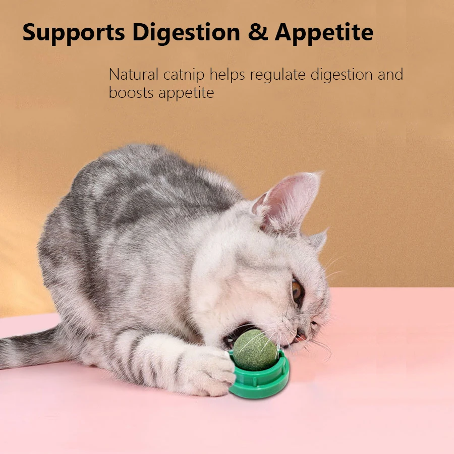 Spinning Catnip Mint Ball for  - Catnip Toys recension och pris
