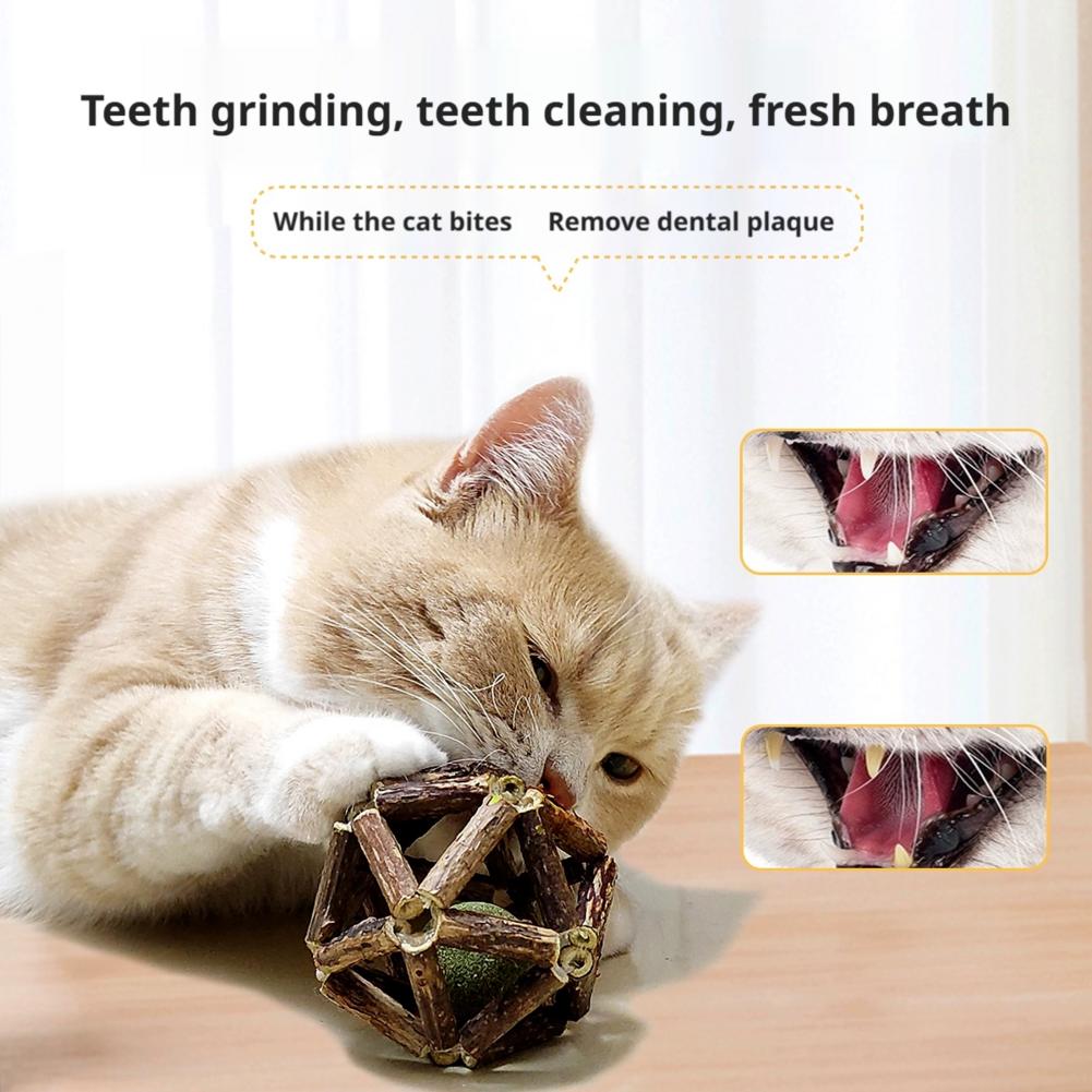 Catnip Ball Cat Interactive To - Catnip Toys recension och pris