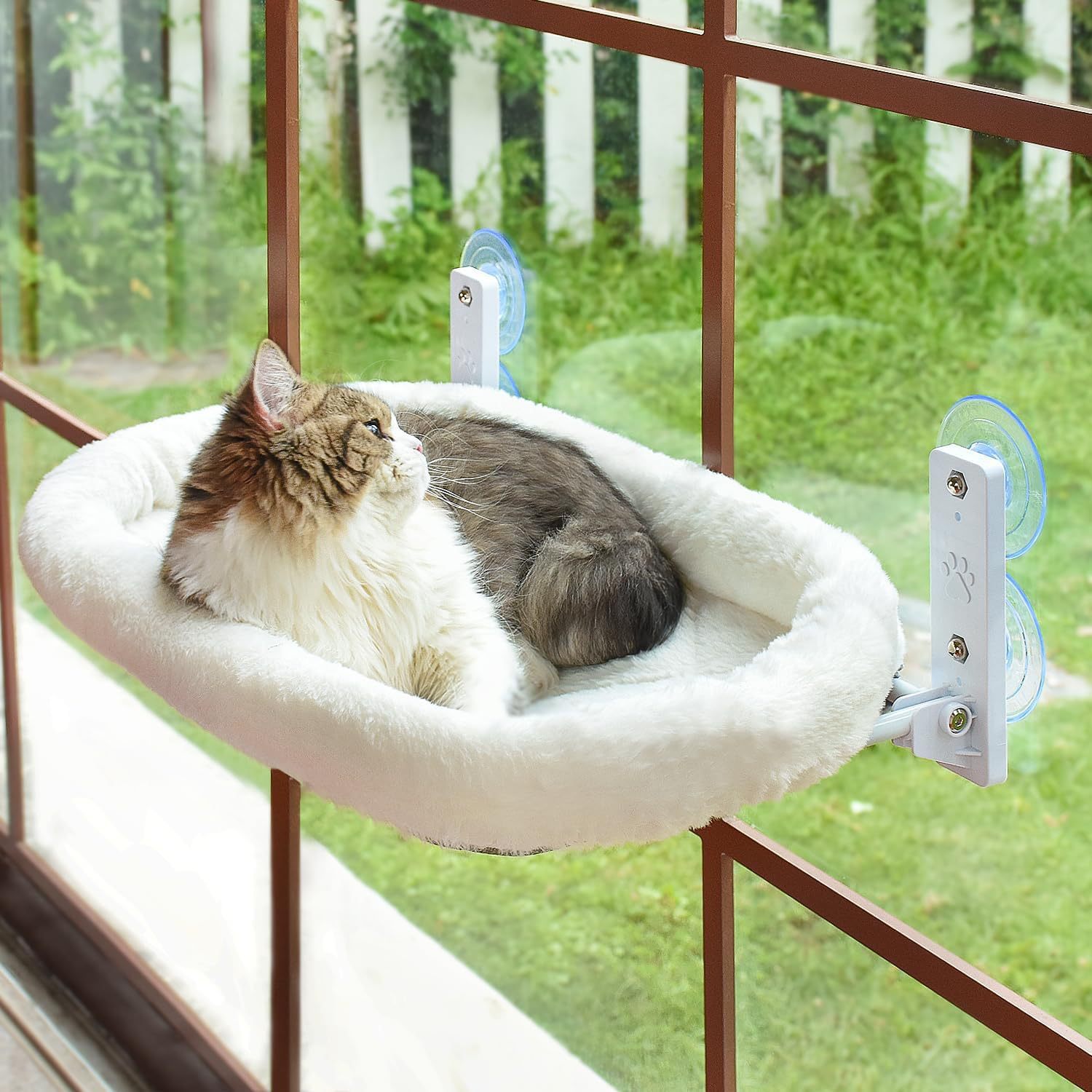 Cat Window Hammock Suction Cup - Cat Window Perch recension och pris