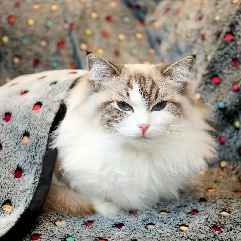 3PCS Soft Fluffy Pet Blanket C - Pet Supplies Nz recension och pris