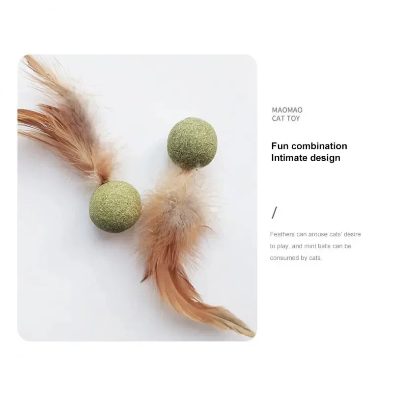 Pet Catnip Toys Edible Catnip  - Catnip Toys recension och pris