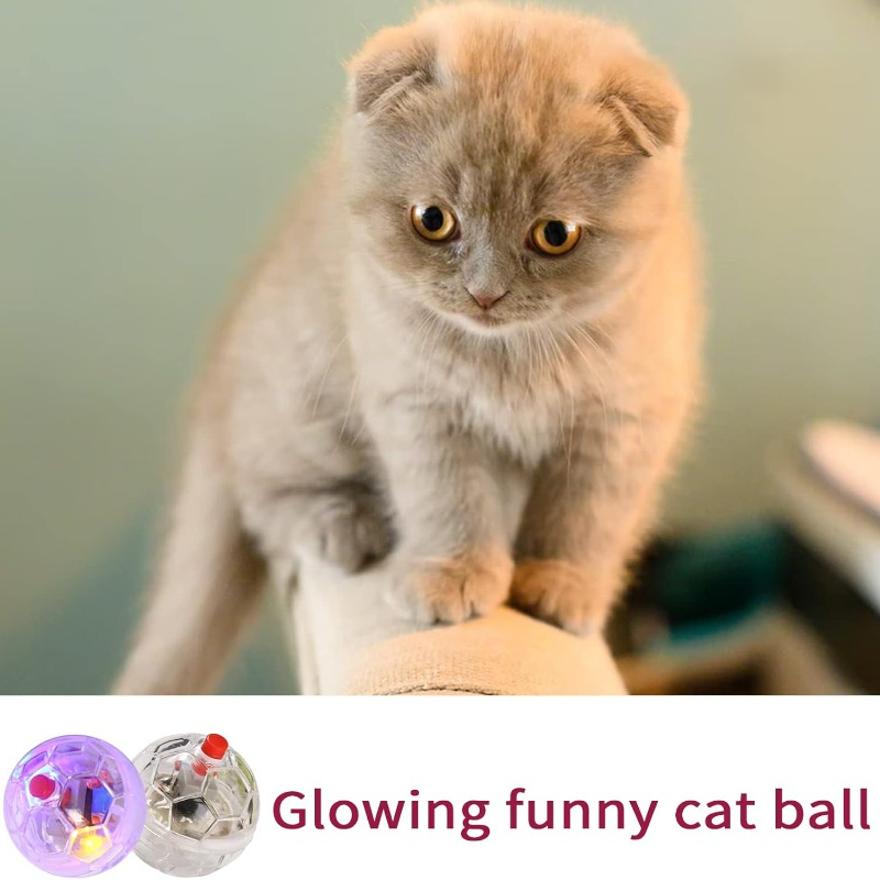 Cat Transparent Glowing Ball T - Catnip Toys recension och pris