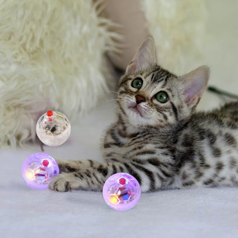 Cat Transparent Glowing Ball T - Catnip Toys recension och pris