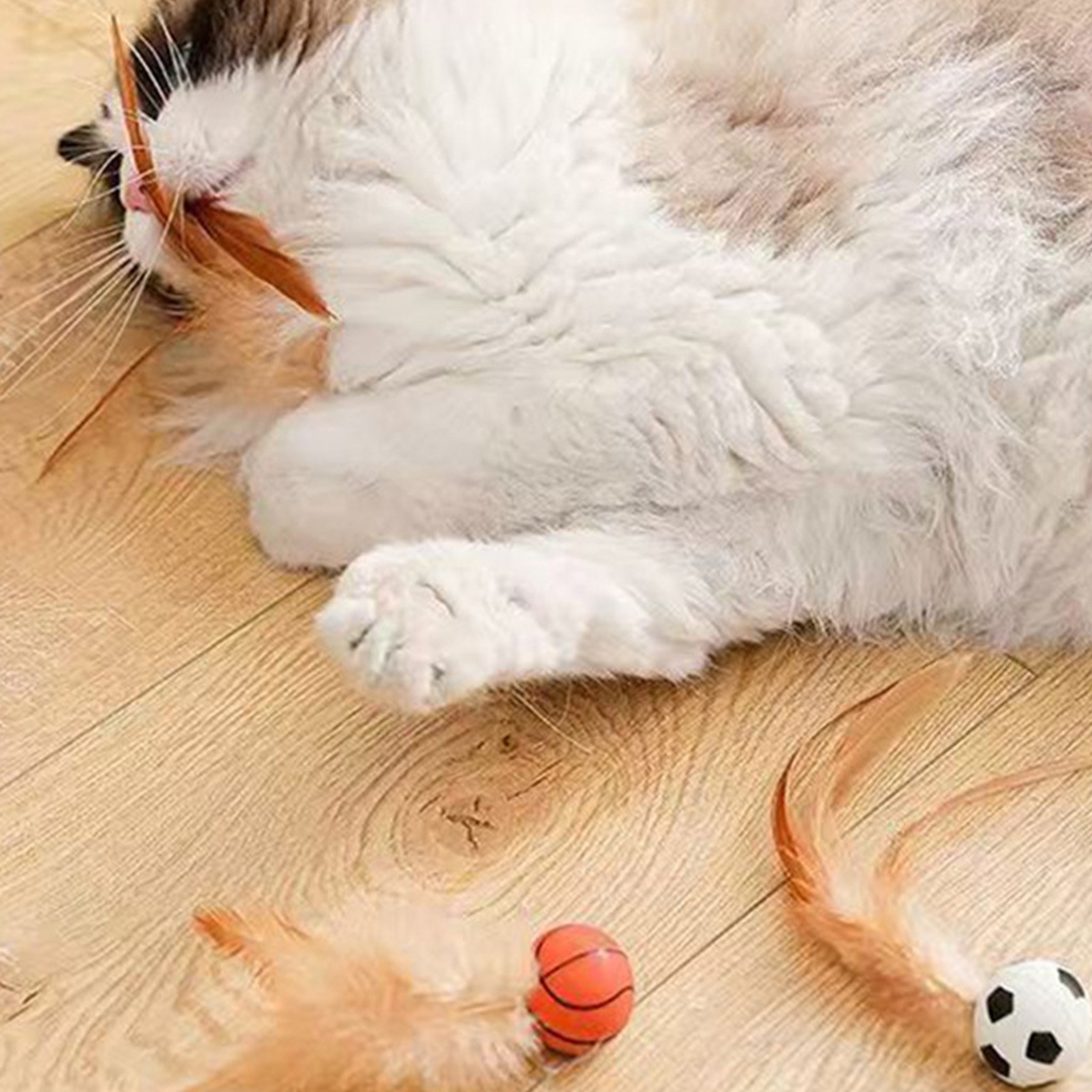 Cat Feather Ball Toys Interact - Catnip Toys recension och pris
